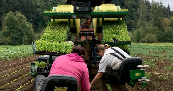 Can Organic Farming Solve the Climate Crisis? 3