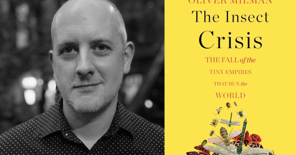 journalist oliver milman and the cover of his new book, the insect crisis