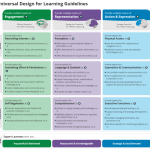 UDL Guidelines INSTA